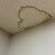 天井や壁にシミがある